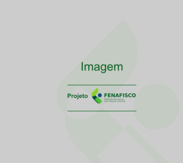 PLACEHOLER FENAFISCO 03 360x320
